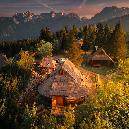 Koca Kronca - Velika Planina Stahovica Extérieur photo