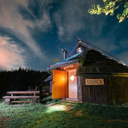 Koca Kronca - Velika Planina Stahovica Extérieur photo