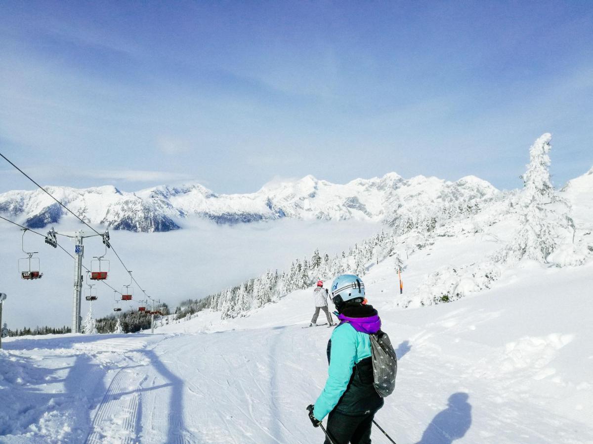 Koca Kronca - Velika Planina Stahovica Extérieur photo