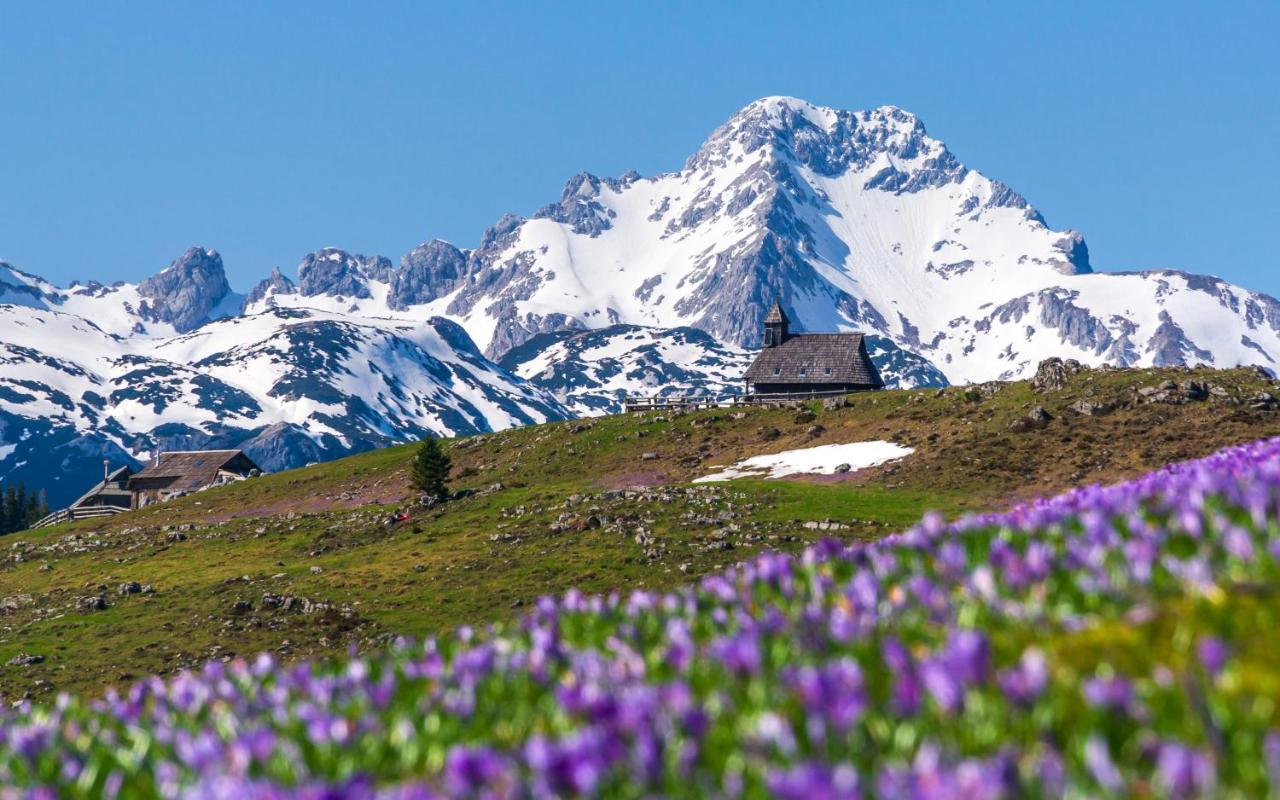 Koca Kronca - Velika Planina Stahovica Extérieur photo