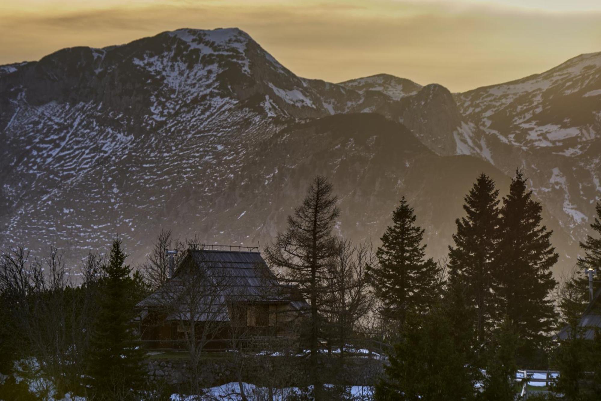 Koca Kronca - Velika Planina Stahovica Extérieur photo